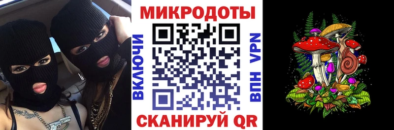 Псилоцибиновые грибы Psilocybe  Саратов 